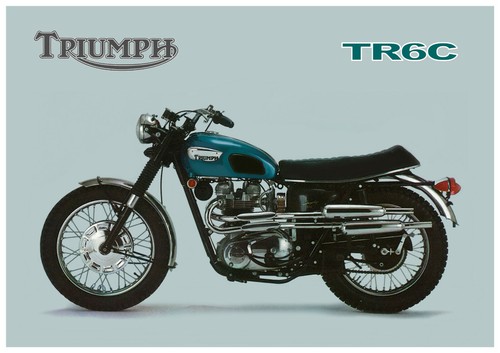 Triumph poster tr6 tiger - triumph,