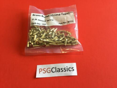 X100 lucas brass - brass, bullet