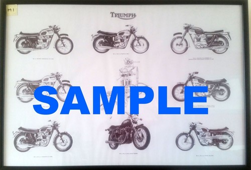 Triumph motorcycle poster - triumph,