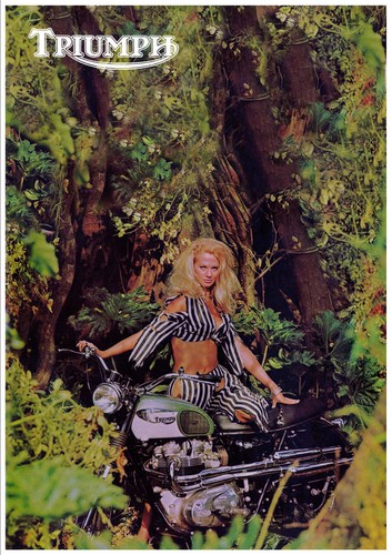 Triumph poster tr6c tr6 trophy - poster,